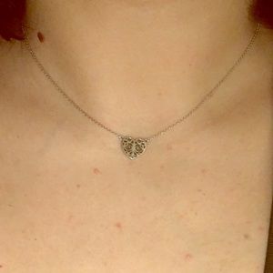 Tiffany & Co. delicate enchanted heart necklace
